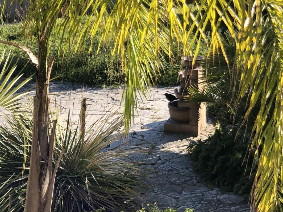 Il Giardino Di Adriana Bed & Breakfast Terracina Exterior photo