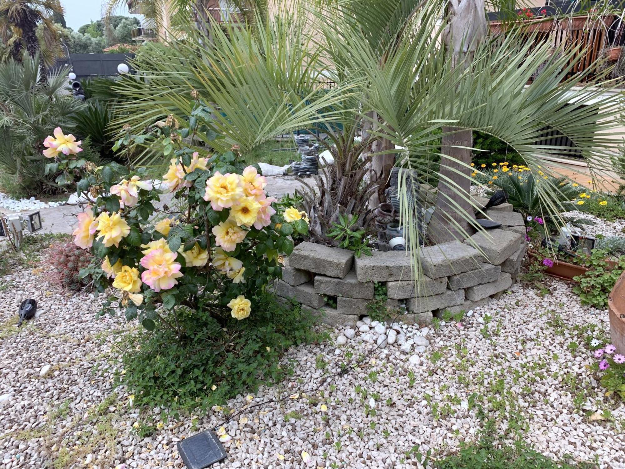 Il Giardino Di Adriana Bed & Breakfast Terracina Exterior photo